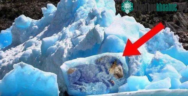 Sông băng tan chảy sẽ đánh thức những loại virus cổ xưa.