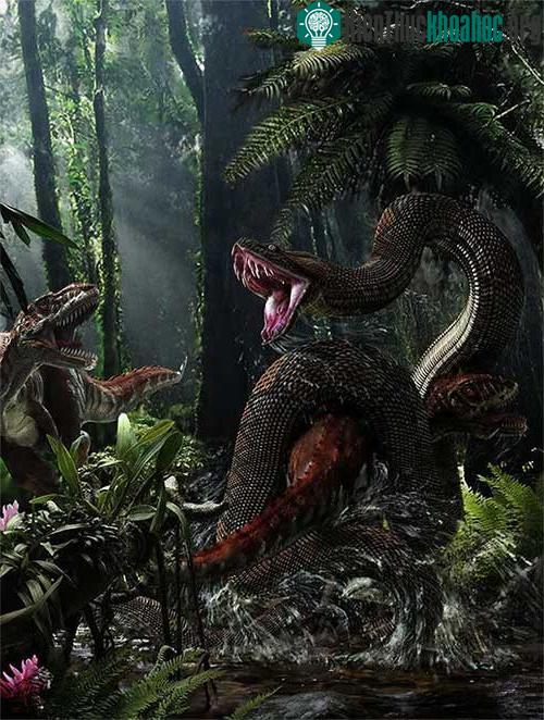 Titanoboa, loài trăn lớn nhất mà con người từng biết tới.&nbsp;
