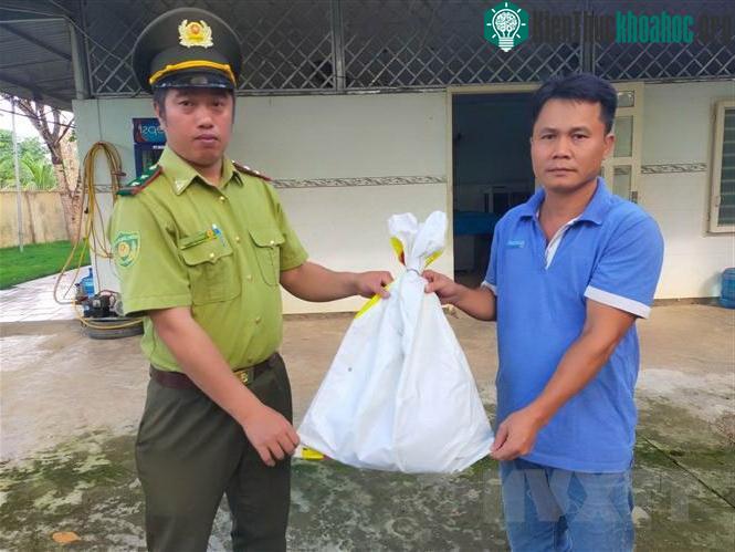 Anh Ngô Quốc Đạt bàn giao cá thể diều hoa Miến Điện cho cán bộ Hạt Kiểm lâm Đồng Phú.