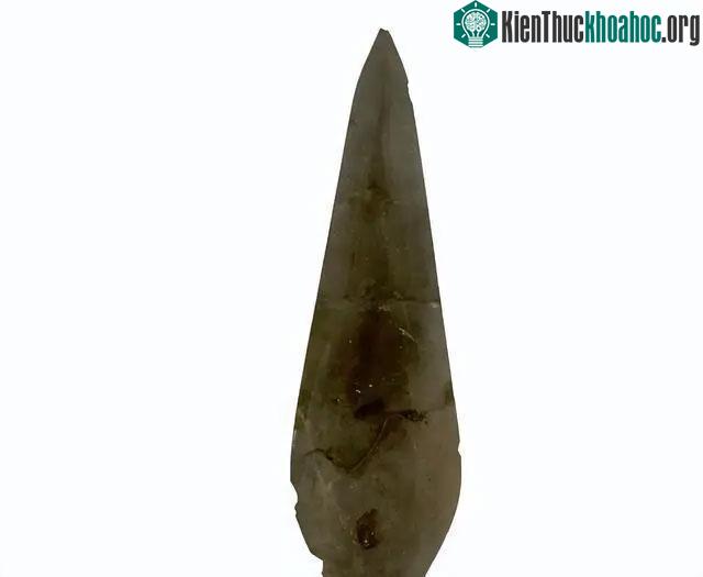 Chiếc lá mà cậu học sinh này nhặt được hóa ra là một bảo vật quý hiếm.