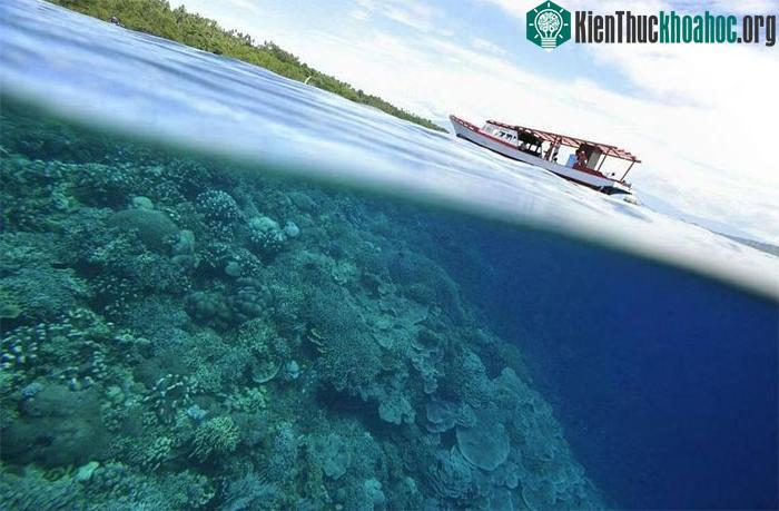 Nhiệt độ bề mặt đại dương tăng khiến các nhà khoa học lo lắng.
