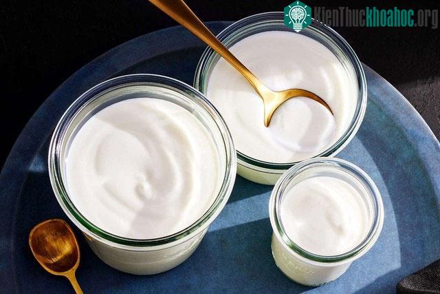 Mỗi loại sữa chua đều có ưu điểm riêng.
