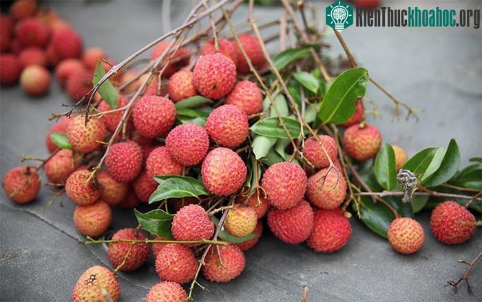 Cho vào tủ đông có thể giúp vải tươi tới cả tháng.&nbsp;