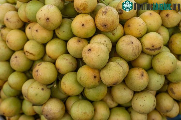 Dâu da đất có hàm lượng dinh dưỡng cao.