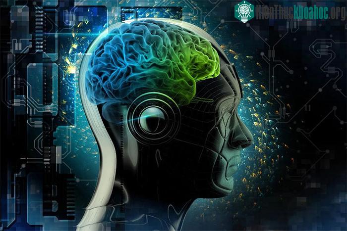 Công nghệ đọc não người làm dấy lên những lo ngại về đạo đức và pháp lý.