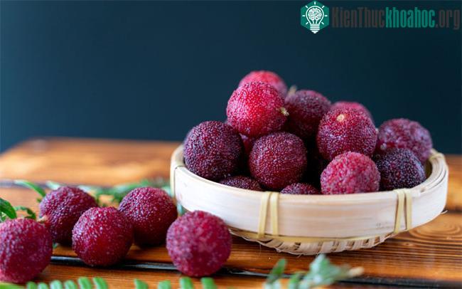 Thanh mai giàu chất phytochemical và chất chống oxy hóa