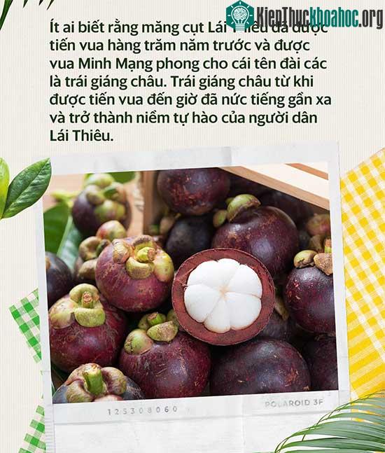 Măng cụt được trồng ở Lái Thiêu từ giữa thế kỷ 19.