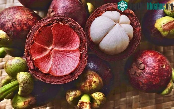 Vỏ măng cụt có thể gây ra một số tác dụng phụ.