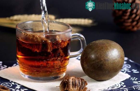 Có khả năng tăng cường hệ miễn dịch, chống dị ứng, trị viêm hầu họng, khả tiếng, táo bón...