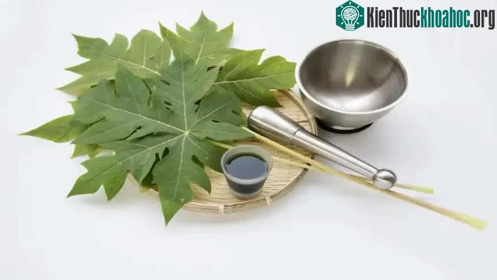 Nước lá đu đủ