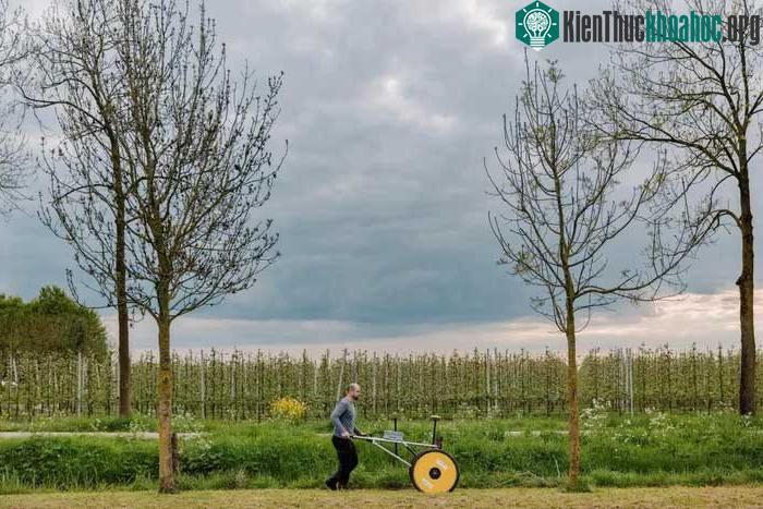 Một chuyên gia đang dò tìm kim loại tại hiện trường