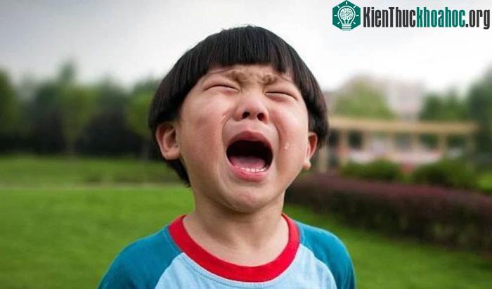 Những đứa trẻ khóc nhiều từ nhỏ có thể tự do bày tỏ cảm xúc và sống một cuộc sống tự do