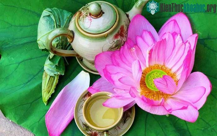 Thức uống từ loại hoa đang vào mùa giúp giảm lượng đường trong máu, thanh nhiệt ảnh 2
