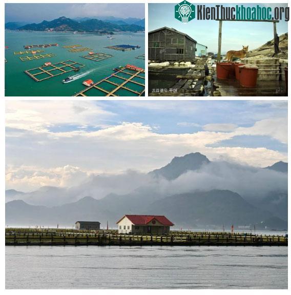 Vùng Tam Đô Áo khá rộng lớn, nơi sinh sống của hàng chục nghìn ngư dân.