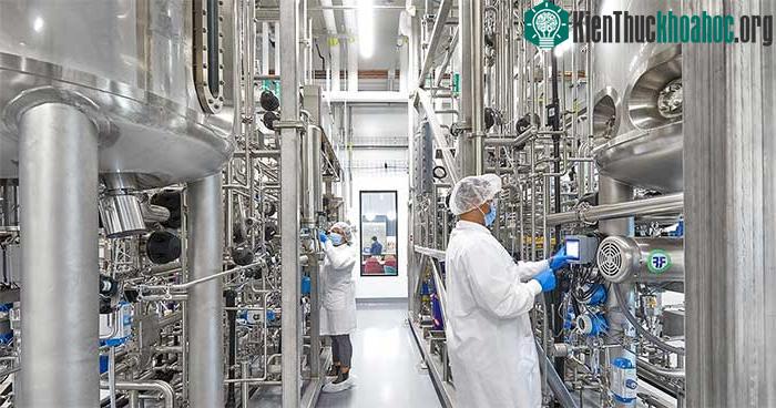 Các công ty sẽ hợp tác với những nhà hàng để cung cấp sản phẩm của mình tới thực khách.