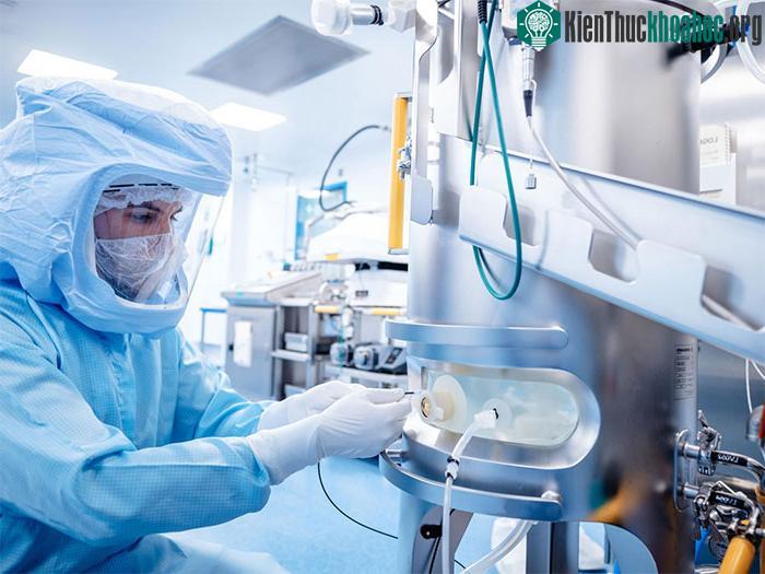 Vaccine công nghệ mRNA điều trị ung thư được cá nhân hóa sẽ rất tốn kém.