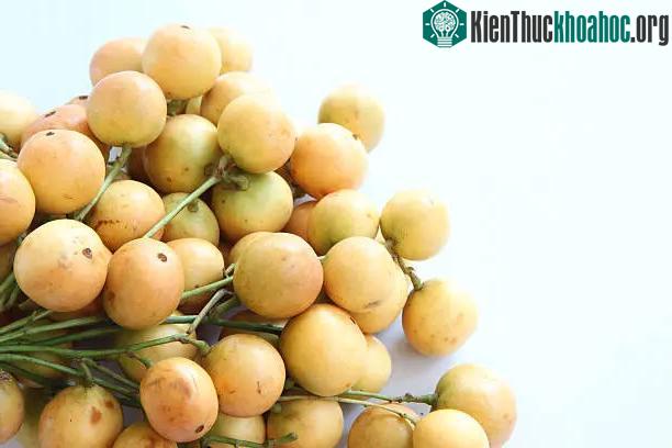 Trong quả dâu da đất có chứa vitamin C - có tác dụng tăng cường miễn dịch