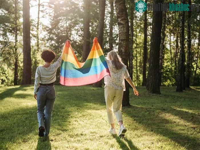 Tại Việt Nam, "Việt Pride" cũng được tổ chức thường niên từ 2012.