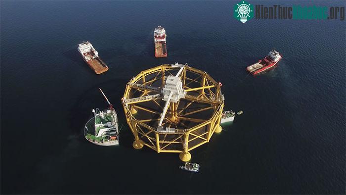 Ocean Farm 1 dự kiến sẽ hoạt động hết công suất vào mùa xuân năm 2023.
