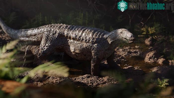 Stagonolepis