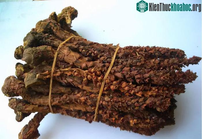 Lão nông đào đất đụng 7 "con rắn", chuyên gia "lập tức phong tỏa hiện trường!" ảnh 4