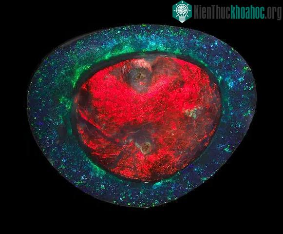 "Nữ hoàng lửa" là viên đá opal lửa đắt nhất thế giới với giá trị lên tới hơn 78 tỷ đồng.