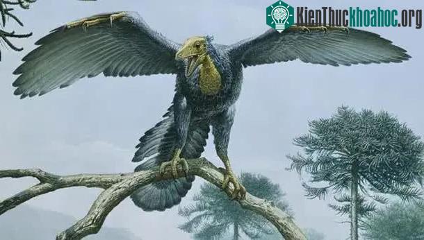 Archaeopteryx
