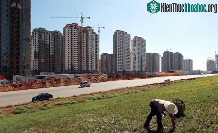 Bên trong các "thành phố ma" của Trung Quốc với hàng triệu căn hộ bị bỏ hoang ảnh 5