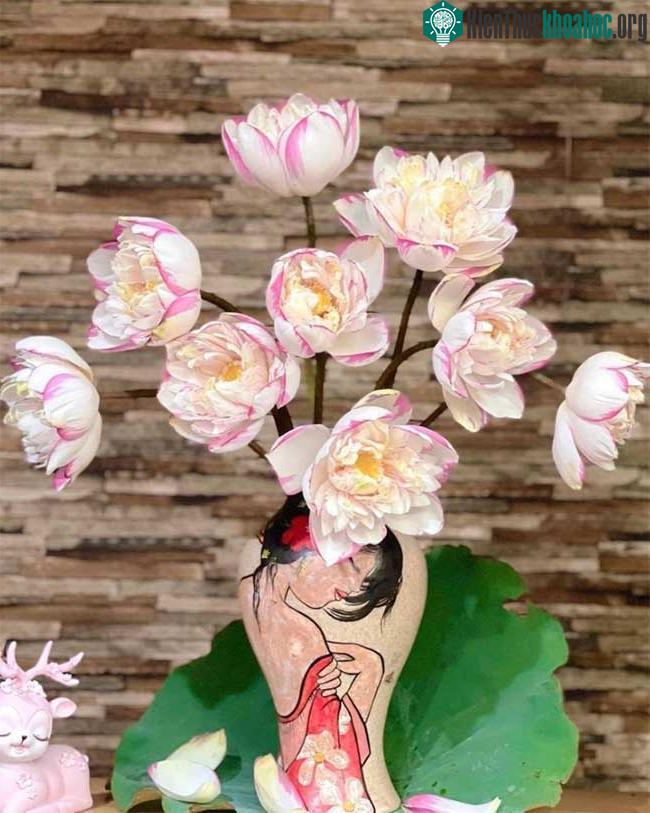 Chị em ''phát sốt'', lùng mua bằng được hoa sen đột biến độc lạ ảnh 5