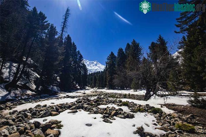 Cung đường từ Fairy Meadows đến trại Beyal Camp là một trong những cung đường tuyệt đẹp