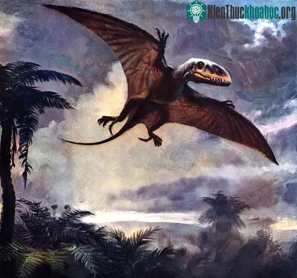 Dimorphodon