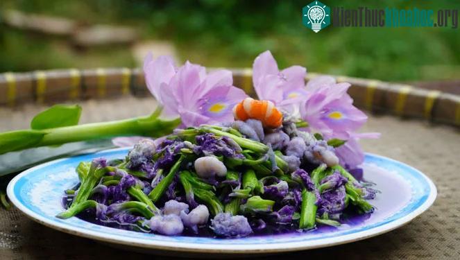 Món ăn từ bèo tây.