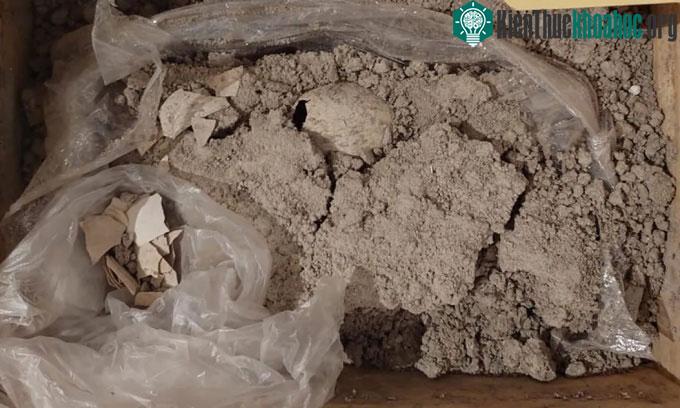 Phát hiện trứng chim hồng hạc hóa thạch ở Mexico.