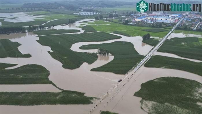 Mưa lũ kỷ lục nhấn chìm "vựa lúa" của Trung Quốc, gây lo ngại về an ninh lương thực ảnh 0