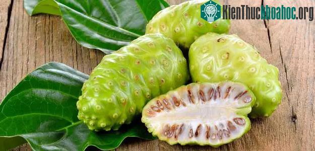 Quả nhàu có chứa rất nhiều vitamin, khoáng chất thiết yếu