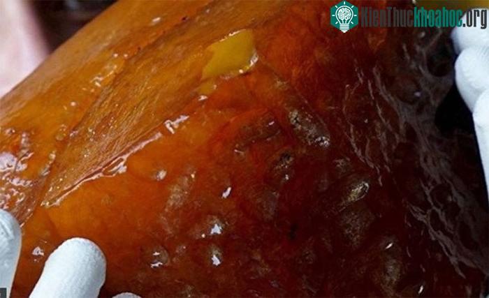 Sau khi một gia đình tìm thấy hổ phách lúc đào giếng, cả ngôi làng kéo đi đào bới kho báu.