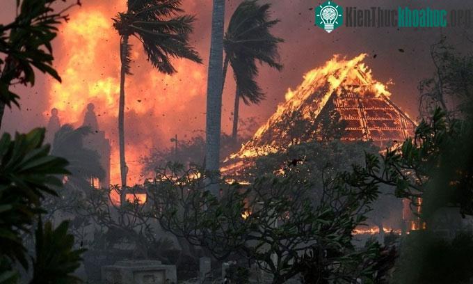 Đám cháy thiêu rụi nhiều công trình trên đảo Maui.