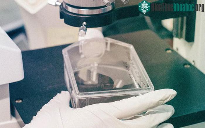 Đây là trường hợp lần đầu tiên tại Việt Nam phát hiện thai nhi mang đột biến gene