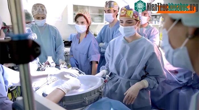 Hệ thống cho phép giữ bào thai bên ngoài cơ thể người mẹ.