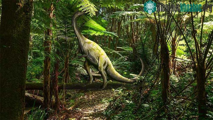 Ảnh đồ họa mô tả Massospondylus carinatus