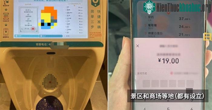 Bồn cầu tự xét nghiệm nước tiểu.