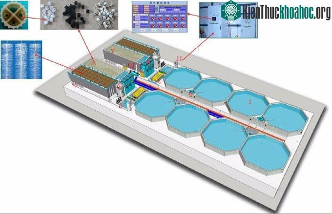 Sơ đồ hoạt động của mô hình 8 bể nuôi