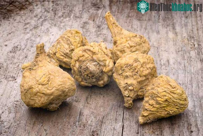 Cây maca còn được gọi là Lepidium meyenii hoặc nhân sâm Peru.