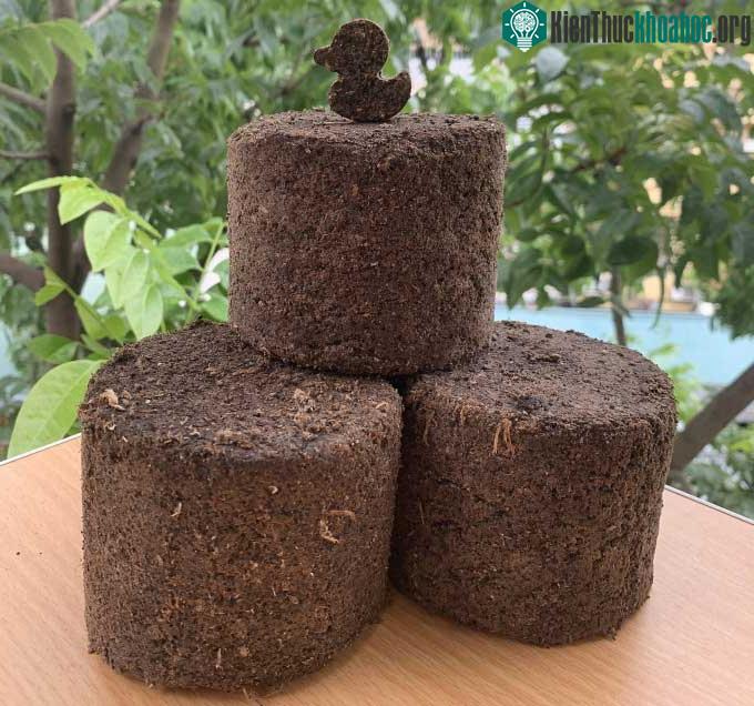 Viên nén sinh khối từ bã cafe do nhóm Coffuel thực hiện.