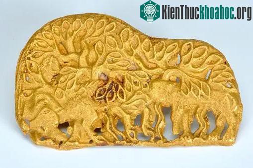 Người đàn ông chăn cừu vô cùng phấn khích khi nhặt được miếng vàng trên đồng cỏ.