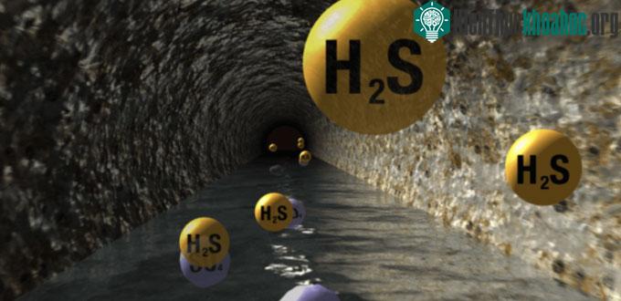 H2S, methane, CO đều là khí độc, tác động lên hệ thần kinh, gây hôn mê và tử vong nhanh.