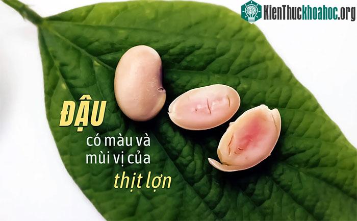 Rất có thể công ty Moolec đã thêm gene có chứa sắt như là myoglobin vào đậu nành.