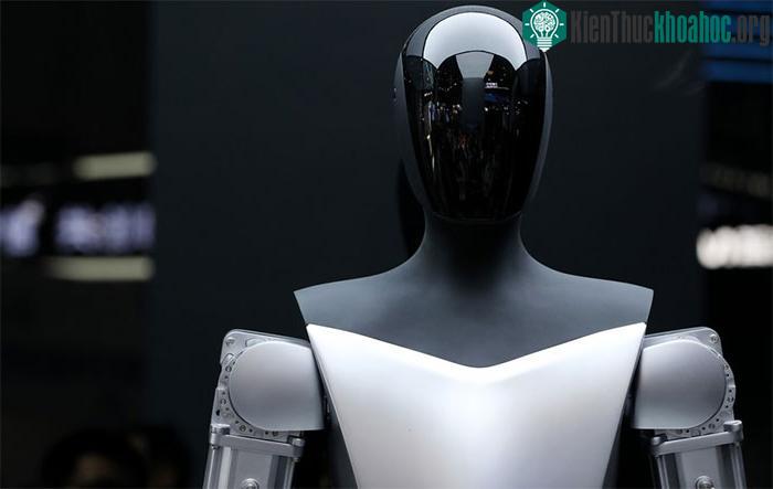 heo nghiên cứu, AI có thể giúp tăng tuổi thọ của con người.