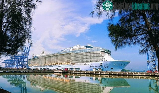 Cận cảnh siêu du thuyền 940 triệu đô Spectrum of the Seas: Có quầy bar tự động, khu vui chơi rộng rãi… ảnh 0