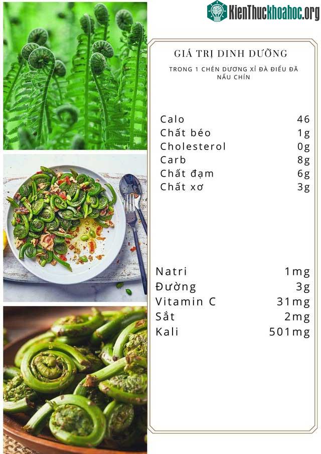 Thành phần dinh dưỡng của dương xỉ.